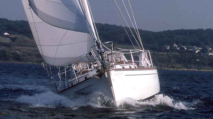 Shannon 39
