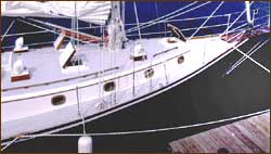 Shannon 43 Deck