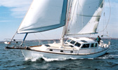 Shannon Pilot 43