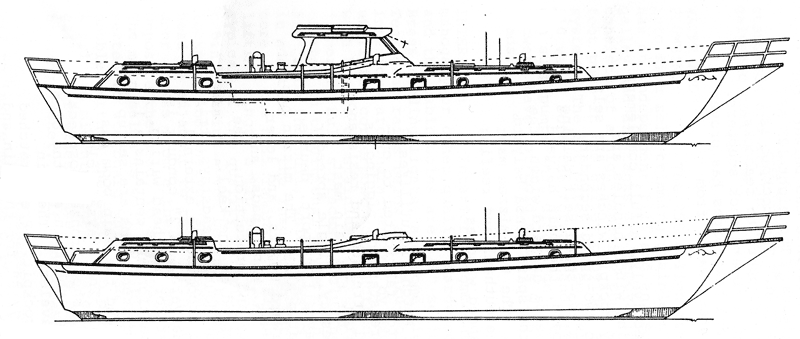 Shannon 51