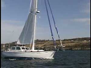 Shannon Pilot 43